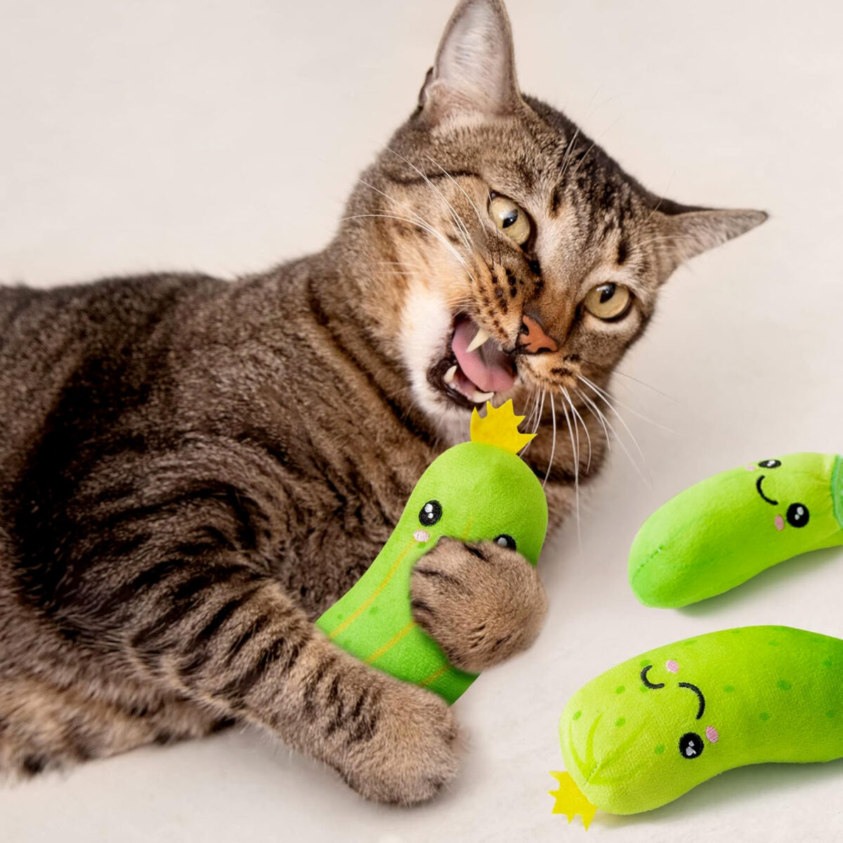 Jouet pour chat Cornichon avec catnip (choix de 5 modèles) – Image 9